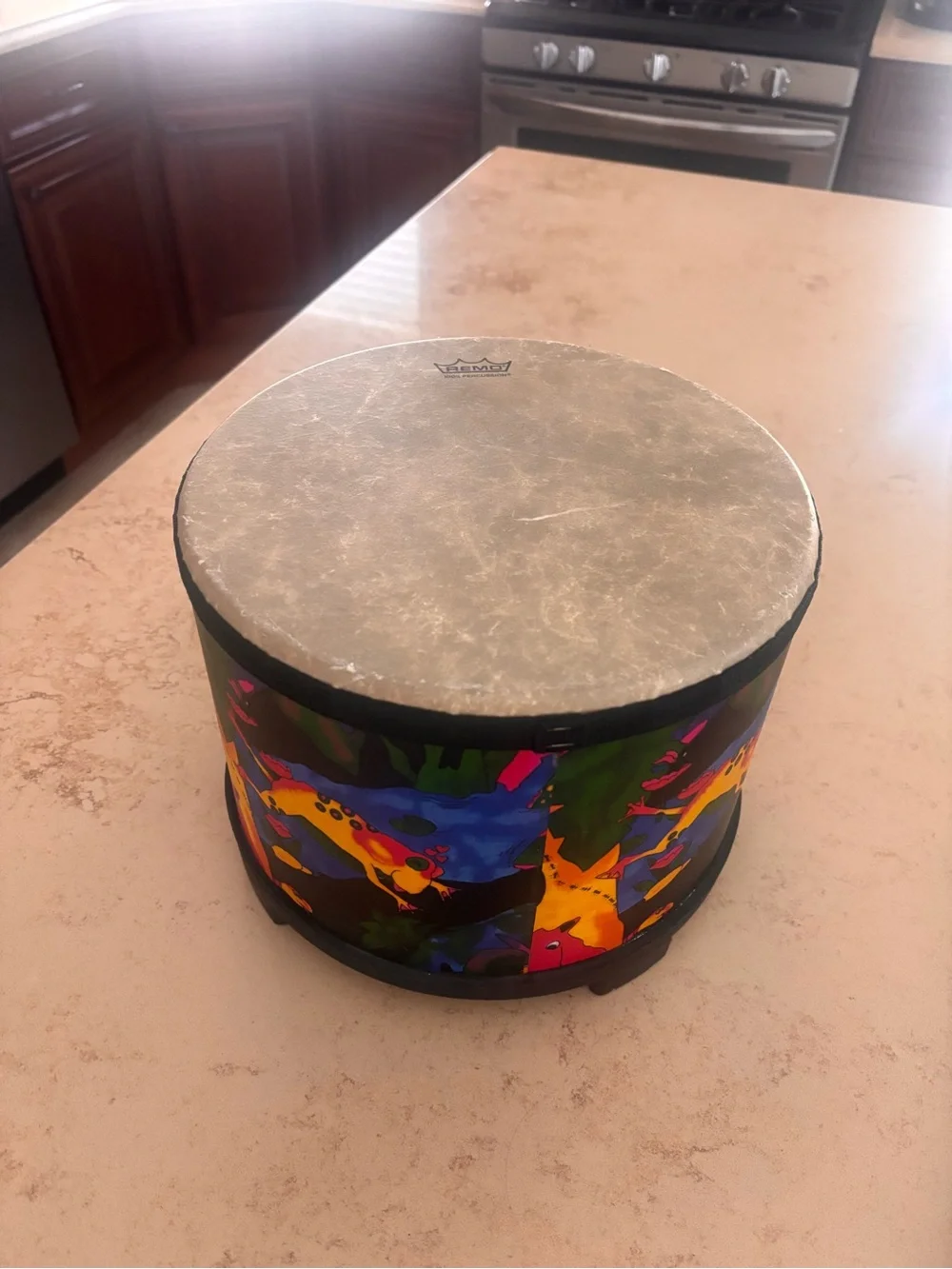 Remo Kids Percussion Drum